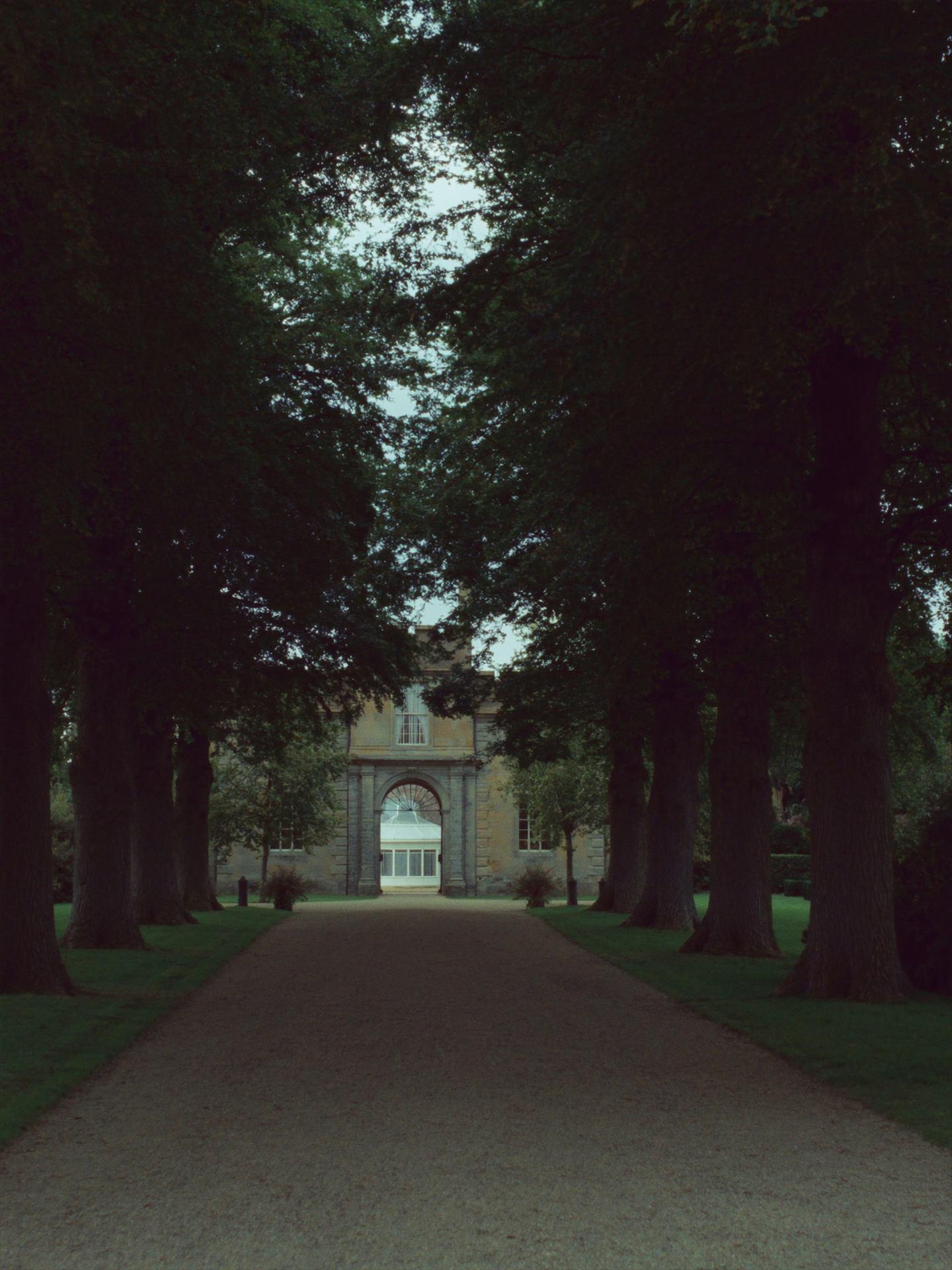 The lime avenue leading to the gatehouse arch